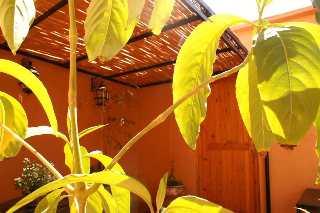 Maison D'Hotes Dar El Nath Ouarzazate Exterior photo